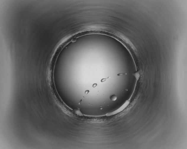 X0000116431029200912081520