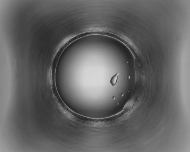 X0000116431030200912081520