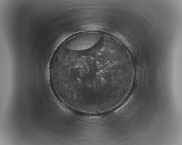 X0000116431031200912081520