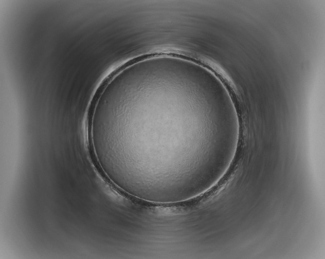 X0000116431032200912081520