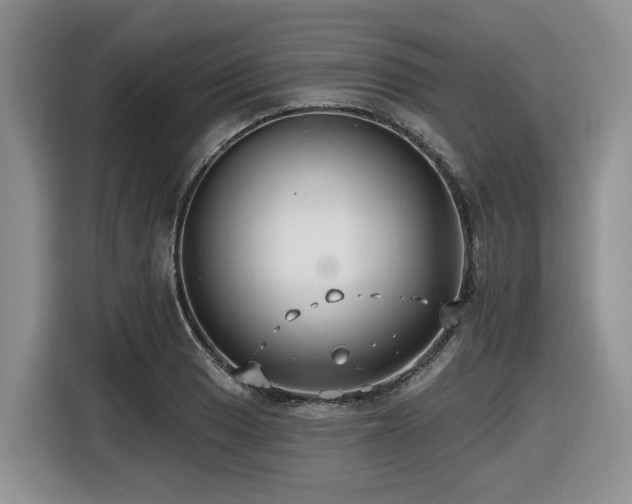 X0000116431033200912081520