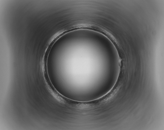 X0000116431034200912081520