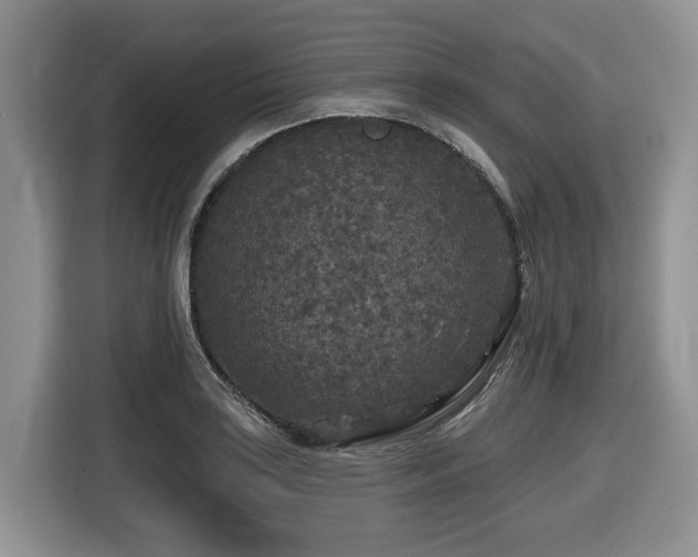 X0000116431035200912081520