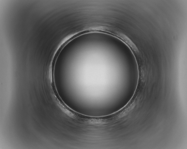 X0000116431036200912081520