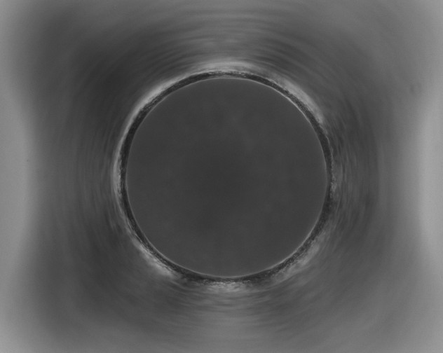 X0000116431037200912081520