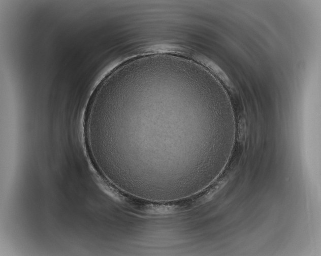 X0000116431039200912081520