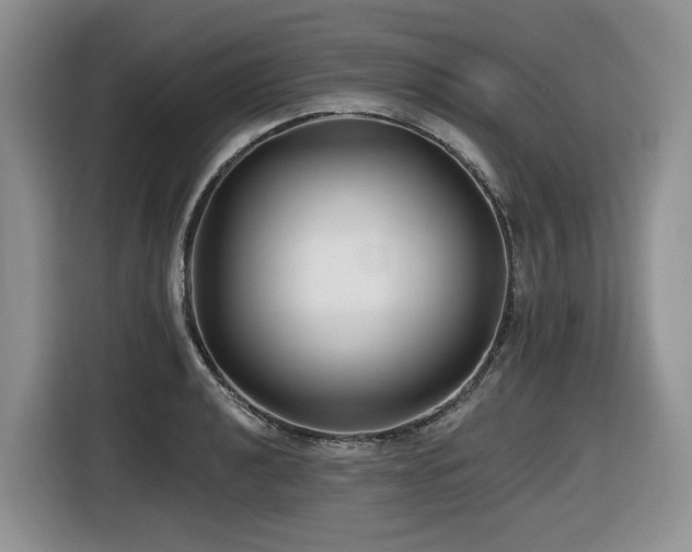 X0000116431040200912081520