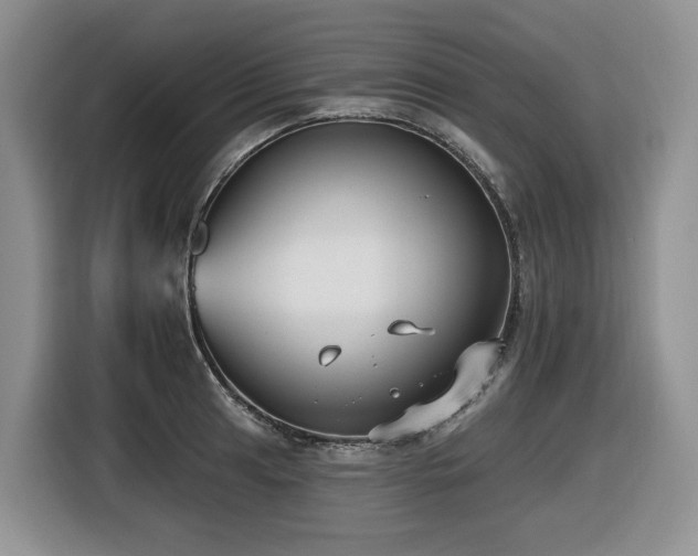 X0000116431041200912081520