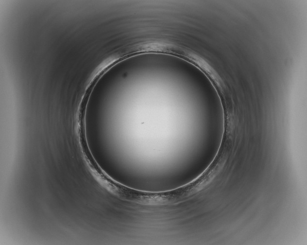 X0000116431042200912081520