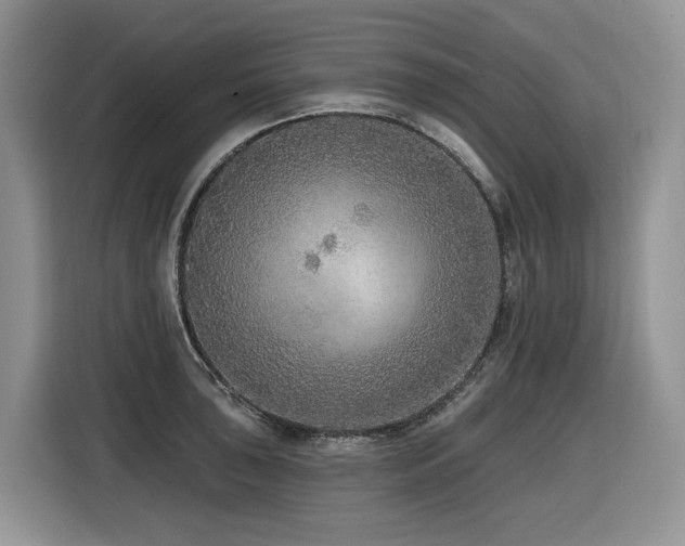 X0000116431043200912081520