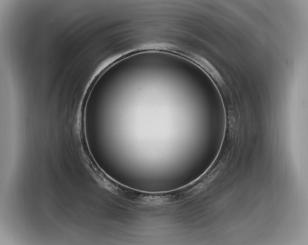 X0000116431044200912081520