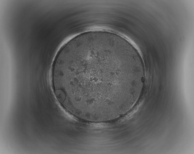 X0000116431045200912081520