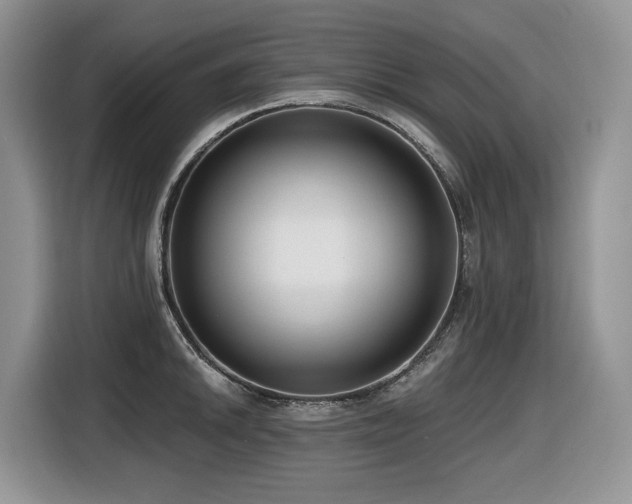 X0000116431046200912081520