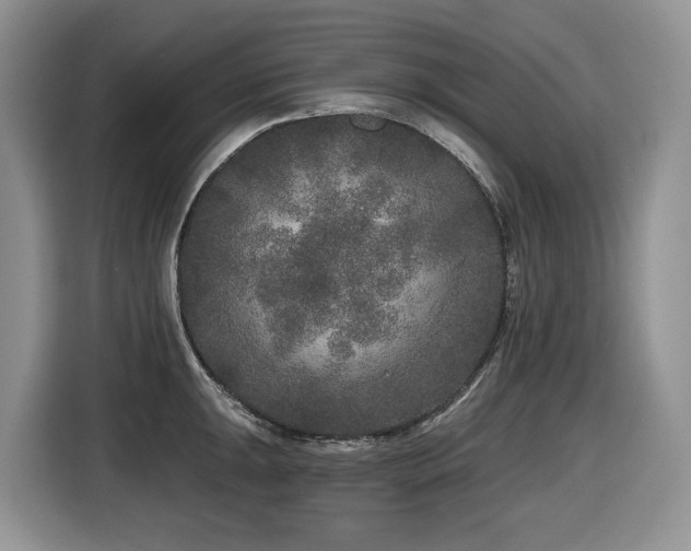 X0000116431047200912081520