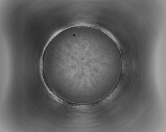 X0000116431048200912081520