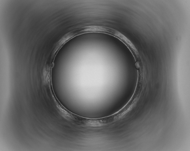 X0000116431049200912081520
