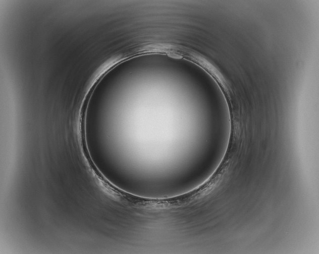 X0000116431050200912081520