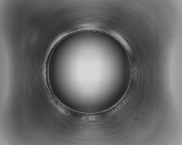 X0000116431051200912081520