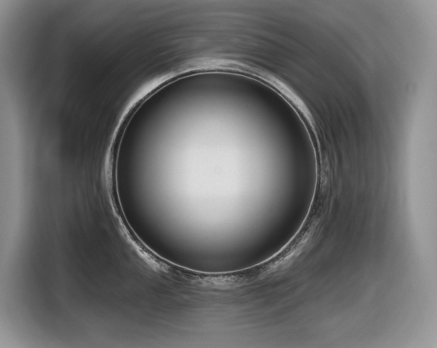 X0000116431053200912081520