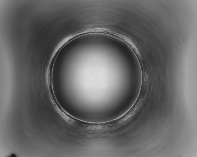 X0000116431054200912081520