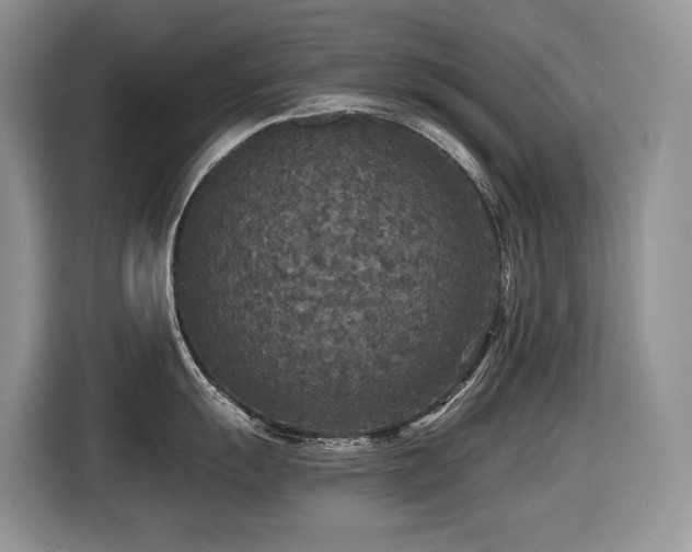 X0000116431055200912081520