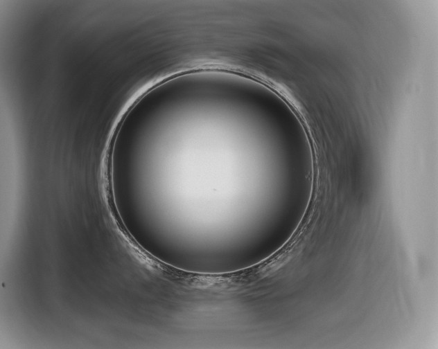 X0000116431056200912081520