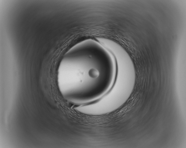 X0000116431057200912081520