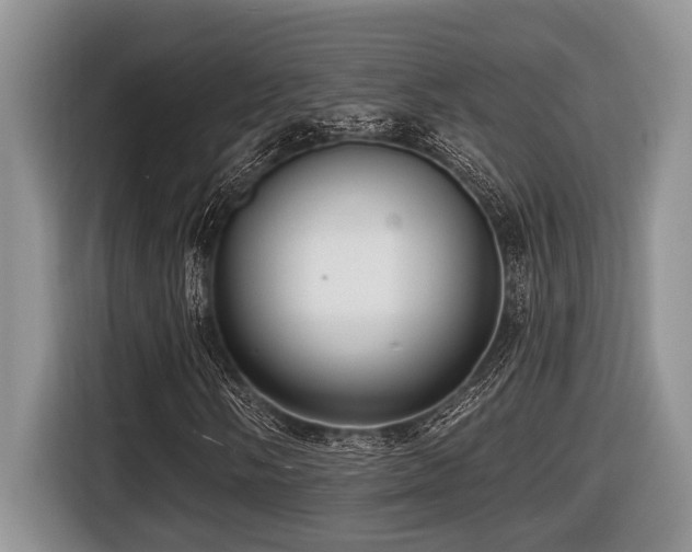 X0000116431058200912081519