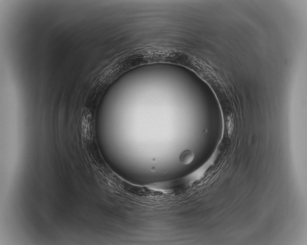 X0000116431059200912081519