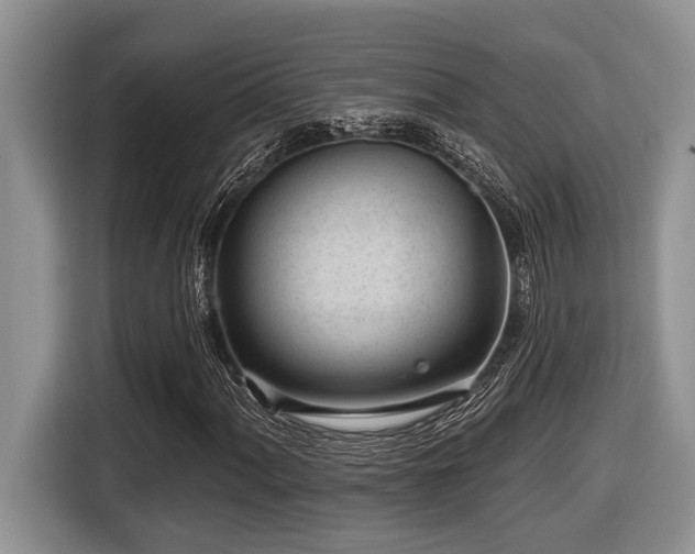 X0000116431060200912081519