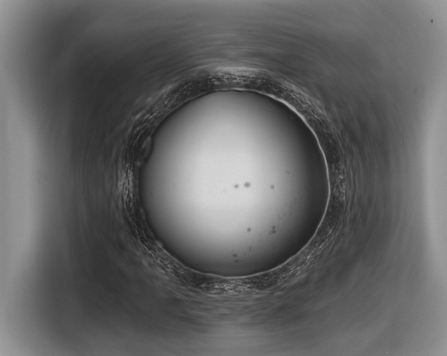 X0000116431061200912081519