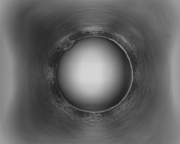 X0000116431062200912081519