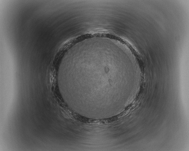 X0000116431063200912081519