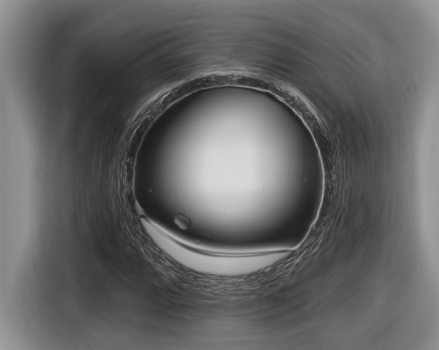 X0000116431064200912081519
