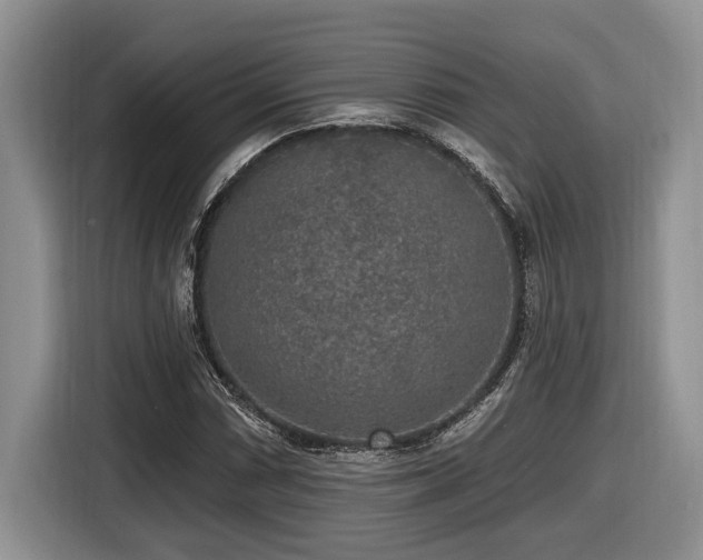 X0000116431066200912081519