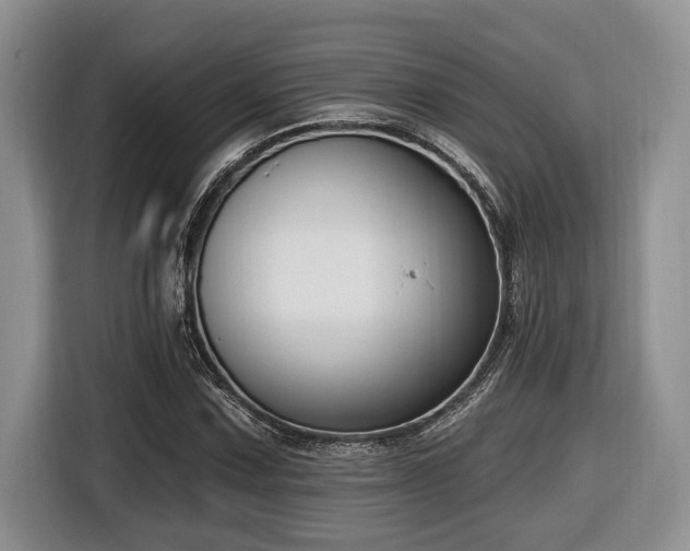 X0000116431067200912081519