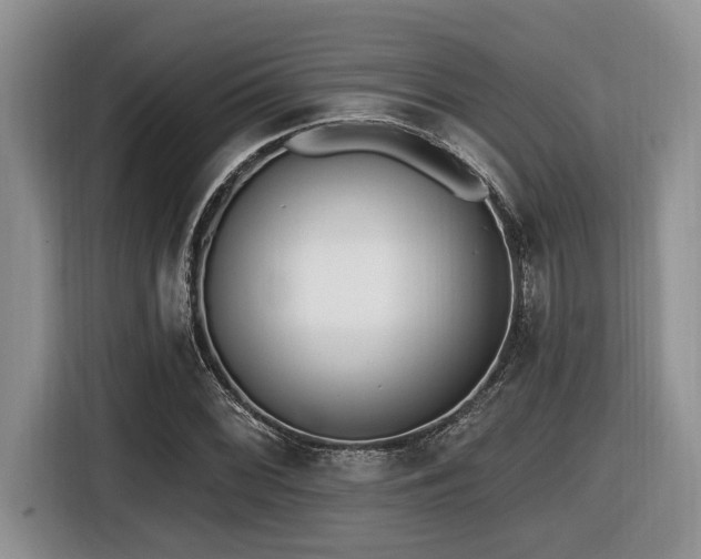 X0000116431068200912081519