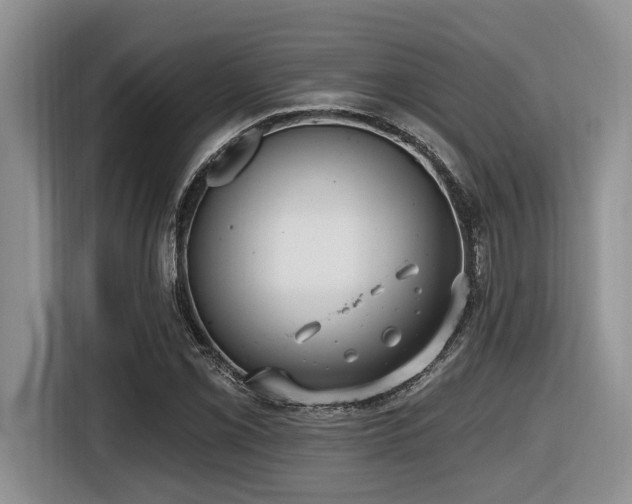 X0000116431069200912081519