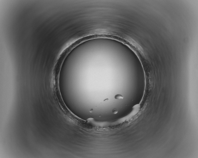 X0000116431070200912081519