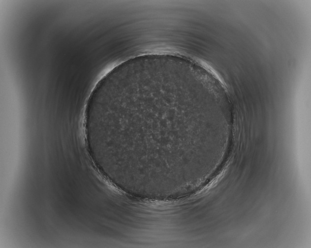 X0000116431071200912081519