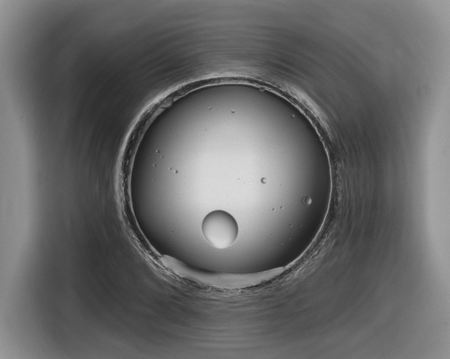 X0000116431072200912081519
