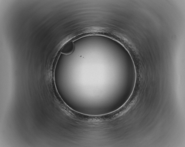 X0000116431073200912081519