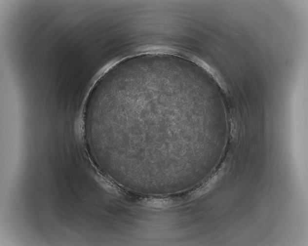 X0000116431074200912081519