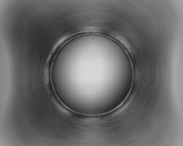X0000116431075200912081519