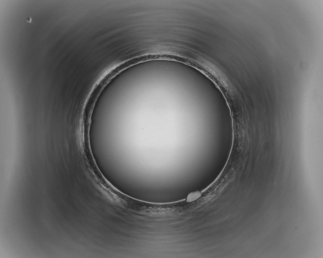 X0000116431076200912081519