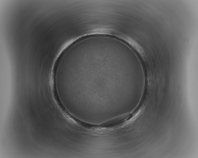 X0000116431077200912081519