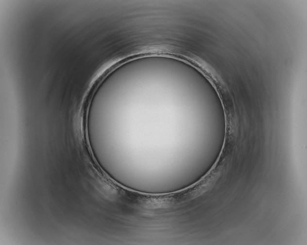X0000116431078200912081519