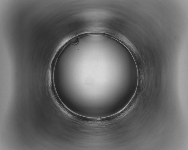 X0000116431079200912081519