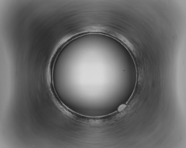 X0000116431080200912081519