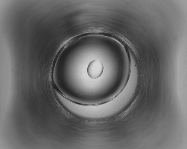 X0000116431081200912081519